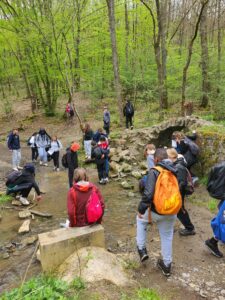 marche en forêt